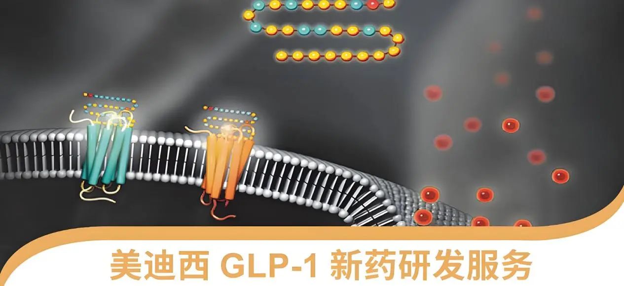 70.5%的成人正在悄悄长胖！国家卫健委“减肥令”下，GLP-1药物如何突围？